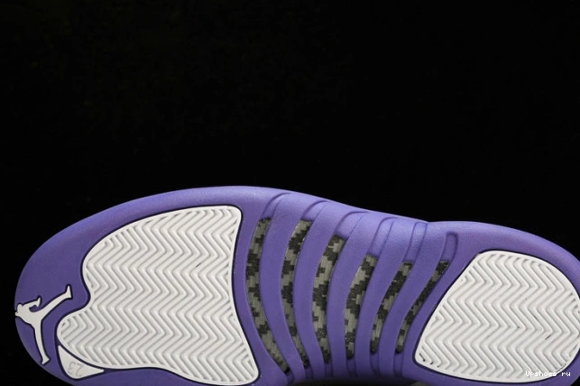 CT8013-150 12 Jordan Retro Purple 1114